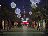 Kochaktion - Bild 15