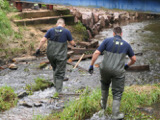 Projekt Brückenbau - Tag 1 - Bild 33