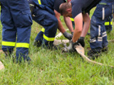 Dienstags-Ausbildung Pumpen - Bild 33