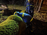 Einsatzübung - Personensuche & Rettung - Bild 14