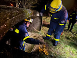 Einsatzübung - Personensuche & Rettung - Bild 29