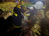 Einsatzübung - Personensuche & Rettung - Bild 31