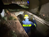 Einsatzübung - Personensuche & Rettung - Bild 32