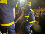 Einsatzübung - Personensuche & Rettung - Bild 40