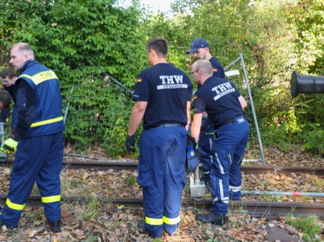 Ganztagesausbildung - B+N 