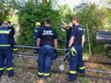 Ganztagesausbildung - B+N  - Bild 18