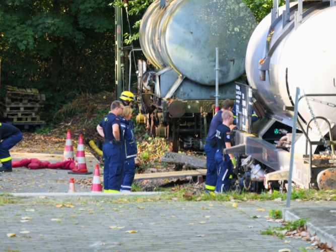 Ganztagesausbildung - B+N 