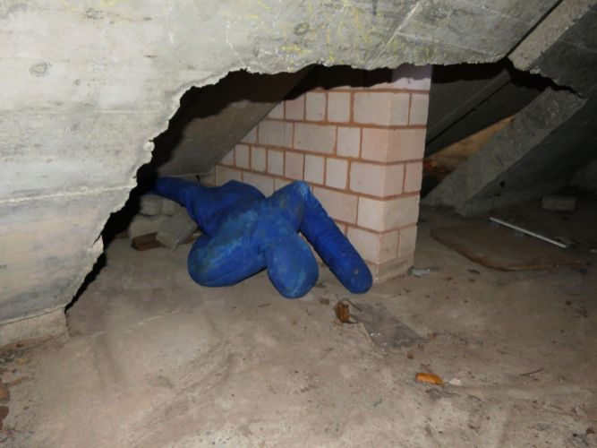 Ganztagesausbildung - B+N 