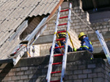 Ganztagesausbildung - B+N  - Bild 79