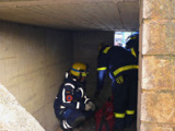 Ganztagesausbildung - B+N  - Bild 88