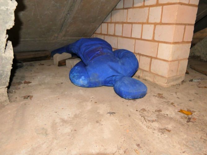 Ganztagesausbildung - B+N 