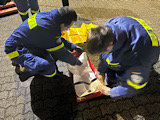 Ausbildung mobile Tankanlage  - Bild 4