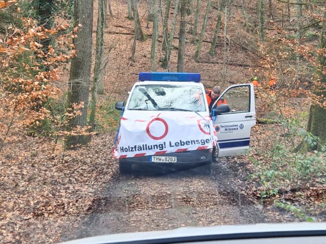 Bereichsausbildung Motorsägen Modul B Teil 2