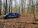 Bereichsausbildung Motorsägen Modul B Teil 2 - Bild 13