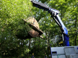 Transport der historischen Walze  - Bild 22