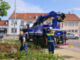 Transport der historischen Walze  - Bild 40