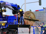 Transport der historischen Walze  - Bild 46
