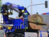 Transport der historischen Walze  - Bild 48
