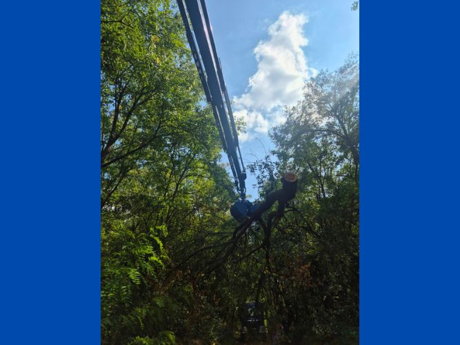 Zeltlager (Ausbildungswochenende)