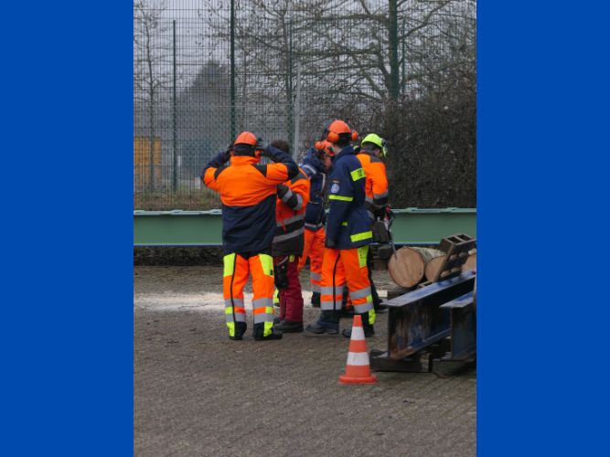 Bereichsausbildung Motorsägen Modul A 