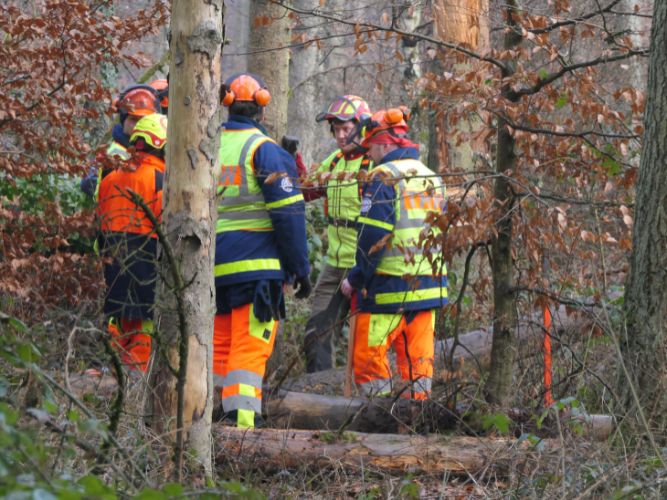 Bereichsausbildung Motorsägen Modul A 