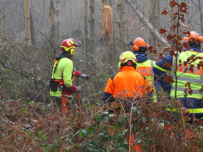 Bereichsausbildung Motorsägen Modul A 