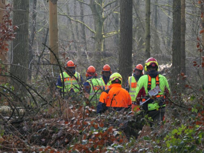 Bereichsausbildung Motorsägen Modul A 