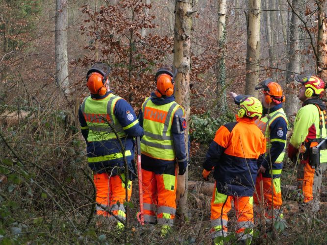 Bereichsausbildung Motorsägen Modul A 