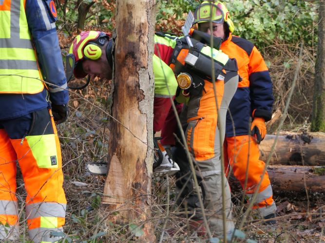 Bereichsausbildung Motorsägen Modul A 
