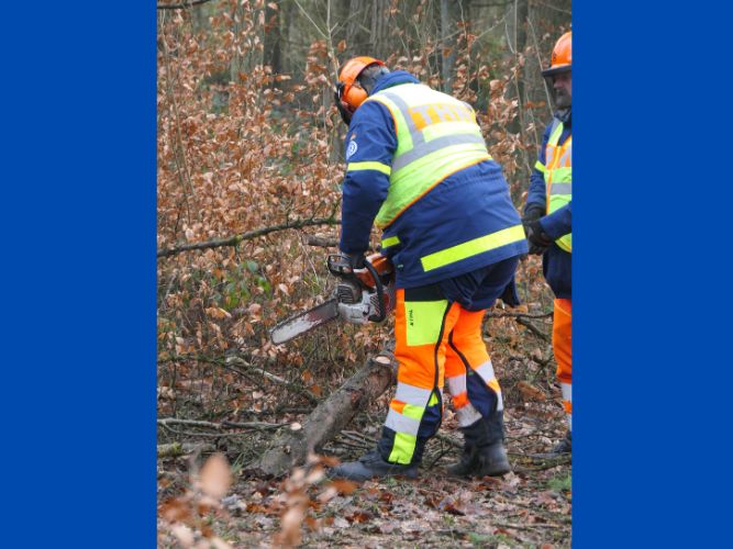 Bereichsausbildung Motorsägen Modul A 