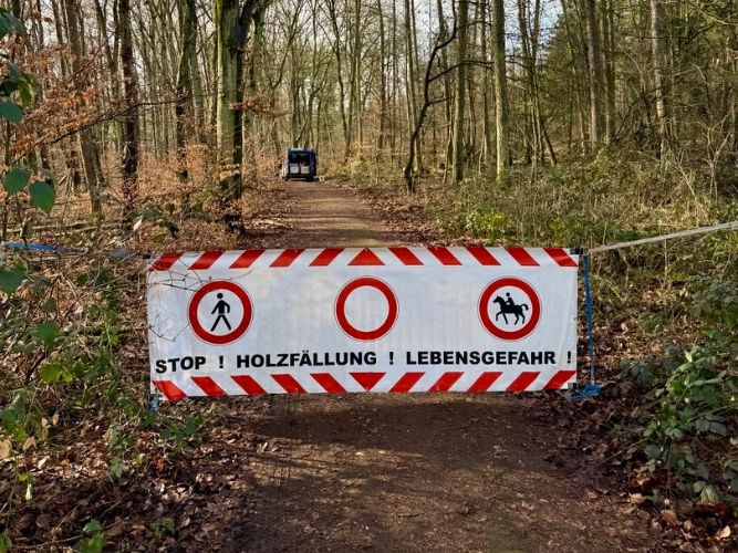 Bereichsausbildung Motorsägen Modul A 