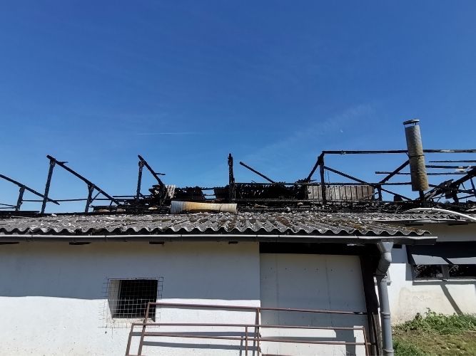 Einsatz 1: Brand Geflügelhof Hemmersdorf 