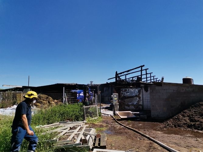 Einsatz 1: Brand Geflügelhof Hemmersdorf 