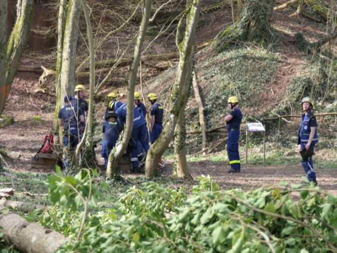 Ganztagesausbildung - OV 