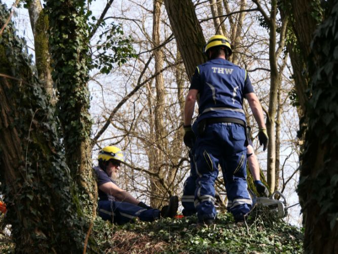 Ganztagesausbildung - OV 